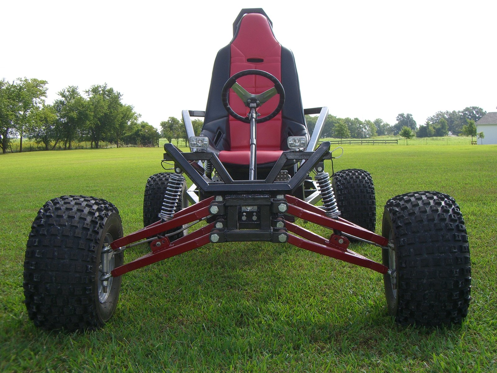 Arachnid, head-on front view